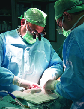 Slider image (7) Florence Organ Transplant Center